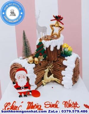 Bánh Kem Noel Giáng Sinh 45